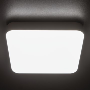 LED Darbinis lubinis šviestuvas IPER LED/26W/230V IK10 IP65 kampinis balta