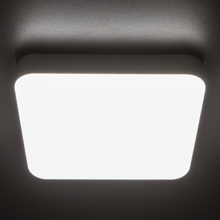 LED Darbinis lubinis šviestuvas IPER LED/26W/230V IK10 IP65 kampinis balta