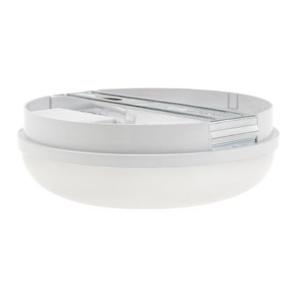 LED Darbo šviestuvas LED/8W/230V IP54