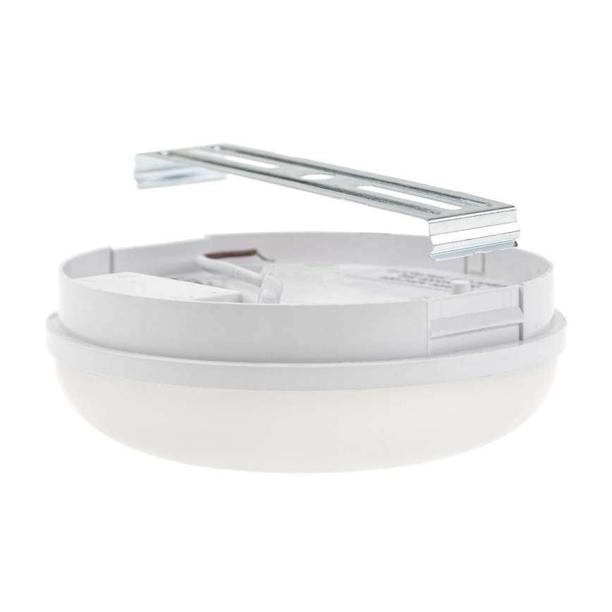 LED Darbo šviestuvas LED/8W/230V IP54