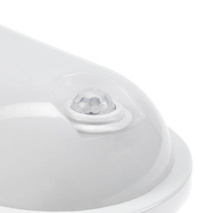 LED Darbo šviestuvas su PIR jutikliu LED/20W/230V IP54