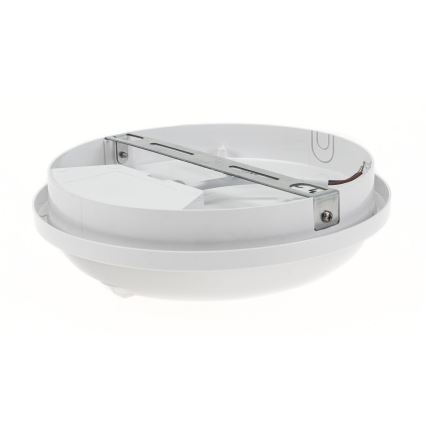 LED Darbo šviestuvas su PIR jutikliu LED/20W/230V IP54