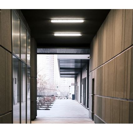 LED Didelio našumo fluorescencinis šviestuvas NEXFORCE LED/40W/230V IP65 4000K