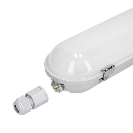 LED Didelio našumo fluorescencinis šviestuvas NEXFORCE LED/40W/230V IP65 4000K