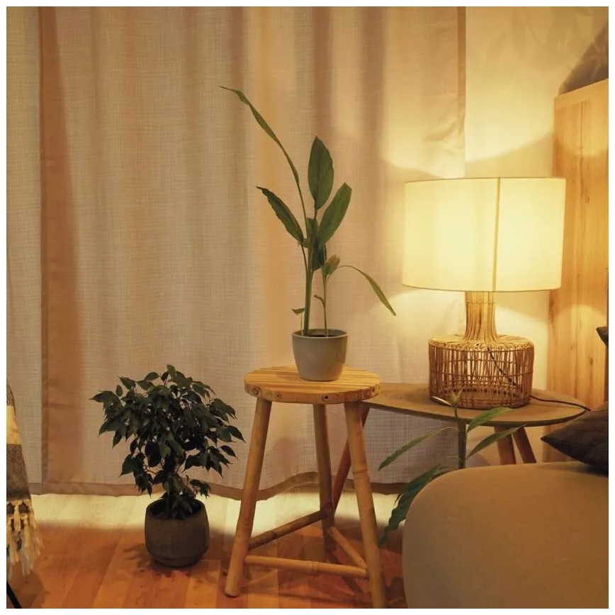 LED dimeriuojama lemputė A60, E27, 10,5W, 230V, 2700K