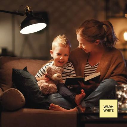 LED dimeriuojama lemputė A60, E27, 10,5W, 230V, 2700K