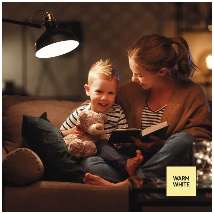 LED dimeriuojama lemputė A60, E27, 10,5W, 230V, 2700K