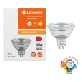 LED dimeriuojama reflektorinė lemputė MR16 GU5,3/6,6W/12V 3000K 36° CRI 97 - Ledvance