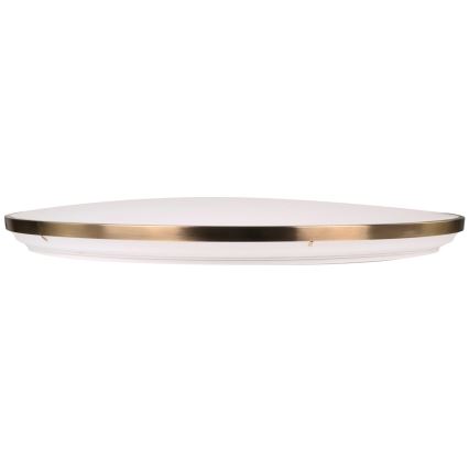 Dimeriuojamas LED lubinis šviestuvas KERN LED/80W/230V 3000/4000/6000K, skersmuo 80 cm, auksinis + nuotolinis pultas