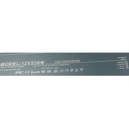 LED Elektroninis transformatorius 250W/12V IP67