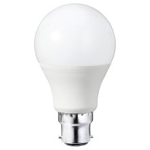 LED elektros lemputė A60 B22/8,5W/230V 2700K - Attralux