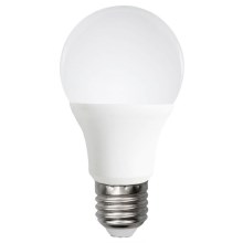 LED elektros lemputė A60 E27/12W/230V 6500K - Aigostar