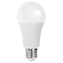 LED elektros lemputė A60 E27/21W/230V 3000K - Aigostar