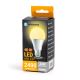 LED elektros lemputė A60 E27/24W/230V 3000K - Aigostar