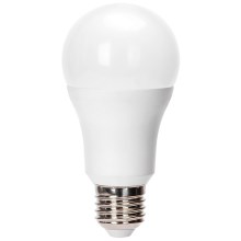 LED elektros lemputė A60 E27/24W/230V 6500K - Aigostar