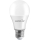 LED elektros lemputė A65 E27/15W/230V 4000K