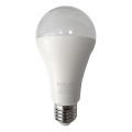 LED elektros lemputė A65 E27/18W/230V 4200K