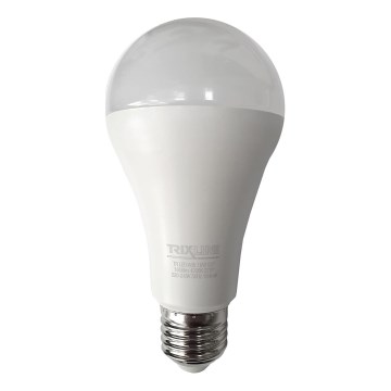 LED elektros lemputė A65 E27/18W/230V 4200K