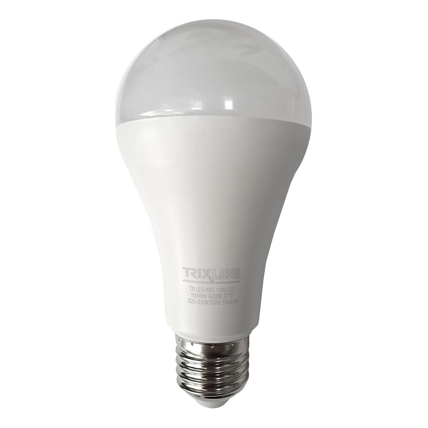 LED elektros lemputė A65 E27/18W/230V 4200K