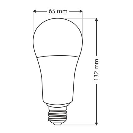LED elektros lemputė A65 E27/18W/230V 4200K
