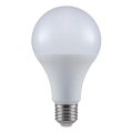 LED elektros lemputė A80 E27/20W/230V 3000K