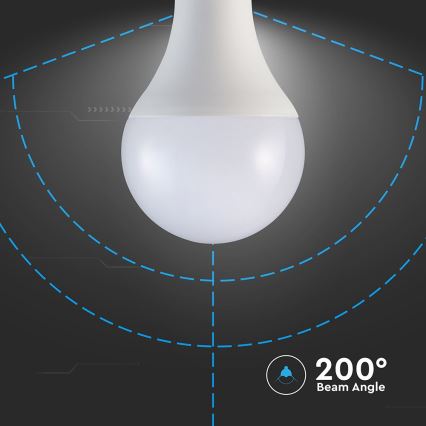 LED elektros lemputė A80 E27/20W/230V 3000K