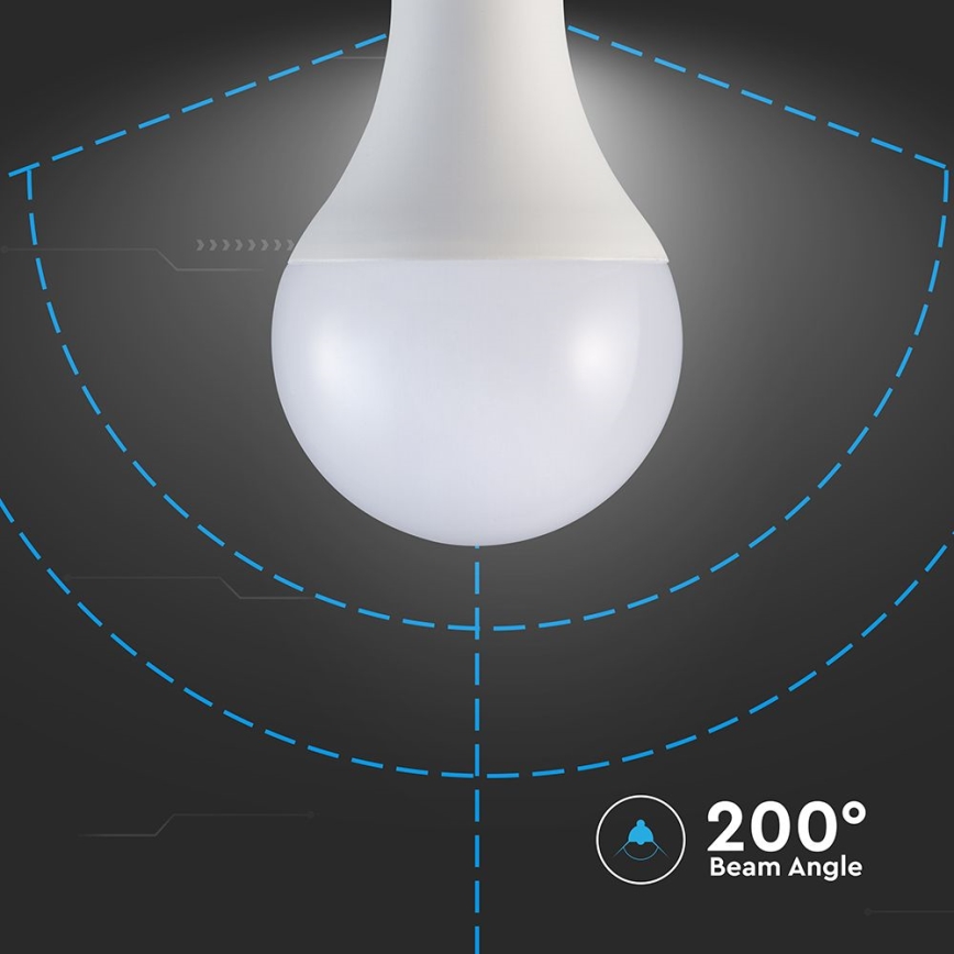 LED elektros lemputė A80 E27/20W/230V 3000K