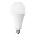 LED elektros lemputė A95 E27/28W/230V 2700K
