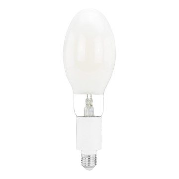 LED elektros lemputė E27/20W/230V 4000K