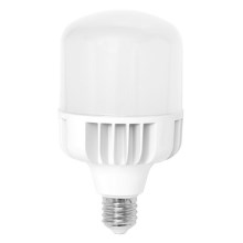 LED elektros lemputė E40/50W/230V 5000K - Ecolite