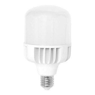 LED elektros lemputė E40/50W/230V 5000K - Ecolite