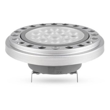 LED elektros lemputė ECOLINE AR111 G53/12W/12V 3000K 30° sidabras - Brilagi