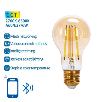 LED pritemdoma elektros lemputė FILAMENT MESH Išmanus A60 E27/6W/230V 2700-6500K - Aigostar