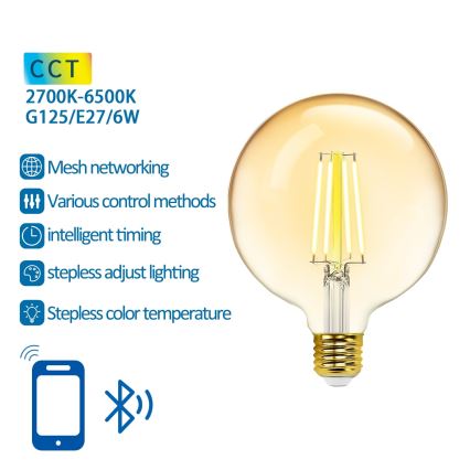 LED pritemdoma elektros lemputė FILAMENT MESH Išmanus G125 E27/6W/230V 2700-6500K - Aigostar
