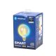 LED elektros lemputė FILAMENT G125 E27/6W/230V 2700-6500K - Aigostar