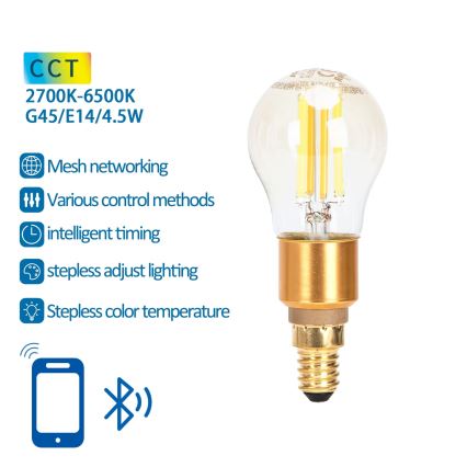 LED pritemdoma elektros lemputė FILAMENT MESH Išmanus G45 E14/4,5W/230V 2700-6500K - Aigostar