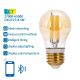 LED elektros lemputė FILAMENT G45 E27/4,5W/230V 2700-6500K - Aigostar