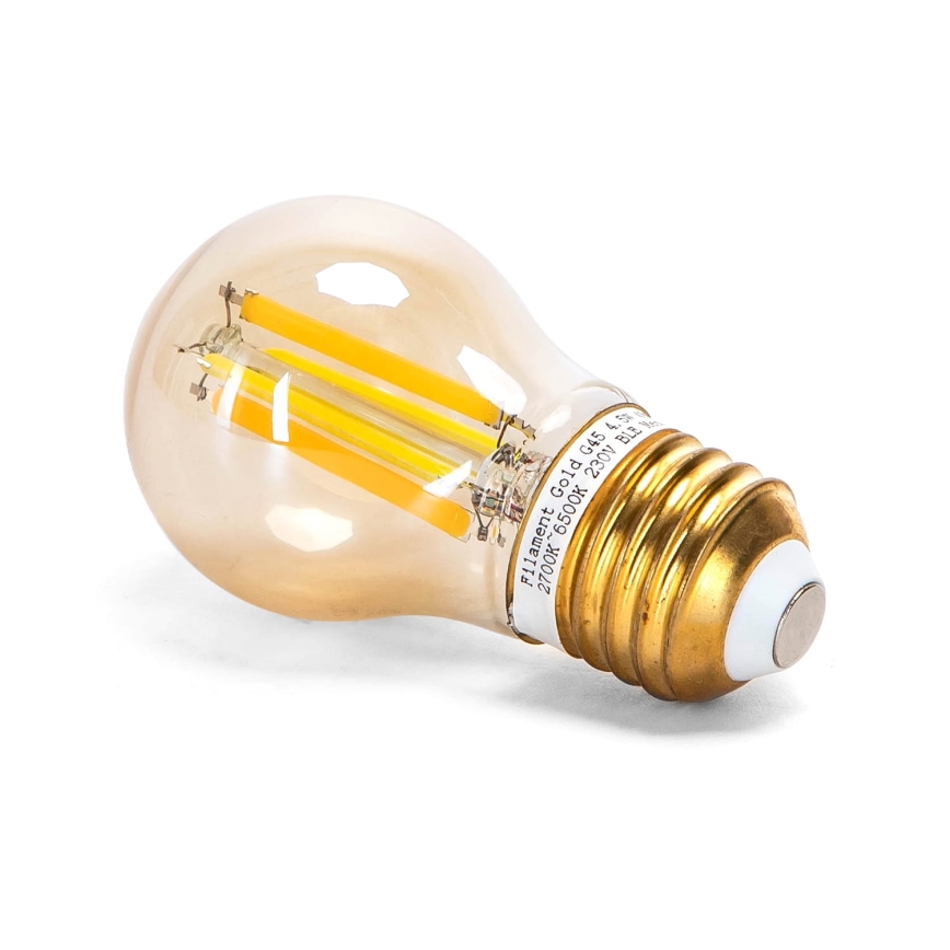 LED pritemdoma elektros lemputė FILAMENT MESH Išmanus G45 E27/4,5W/230V 2700-6500K - Aigostar