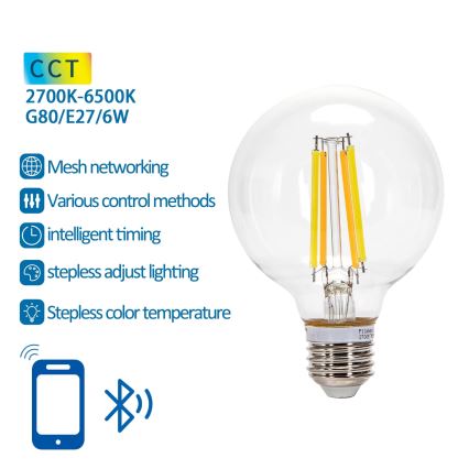 LED pritemdoma elektros lemputė FILAMENT MESH Išmanus G80 E27/6W/230V 2700-6500K - Aigostar