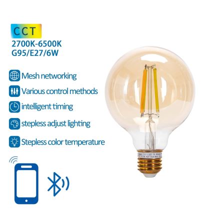 LED pritemdoma elektros lemputė FILAMENT MESH Išmanus G95 E27/6W/230V 2700-6500K - Aigostar
