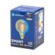 LED elektros lemputė FILAMENT G95 E27/6W/230V 2700-6500K - Aigostar