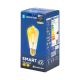 LED elektros lemputė FILAMENT ST64 E27/6W/230V 2700-6500K - Aigostar
