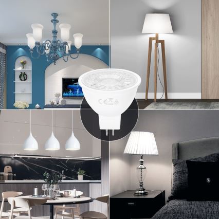 LED elektros lemputė MR16 GU5,3/6W/12V 6500K - Aigostar