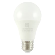 LED elektros lemputė PALLADIUM E27/12W/230V 2700K