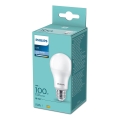 LED elektros lemputė Philips A60 E27/13W/230V 6500K