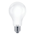 LED elektros lemputė Philips A67 E27/17,5W/230V 2700K