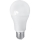 LED elektros lemputė PITT A60 AC/DC E27/12W/24V 4000K
