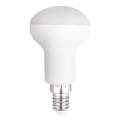 LED elektros lemputė R50 E14/7W/230V 6500K - Aigostar