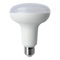 LED elektros lemputė R90 E27/15W/230V 3000K - Aigostar