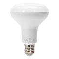 LED elektros lemputė R90 E27/15W/230V 6500K - Aigostar